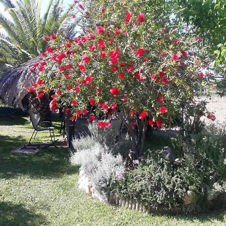 Evdokia Country Maisonette Agios Mamas (Chalkidiki)